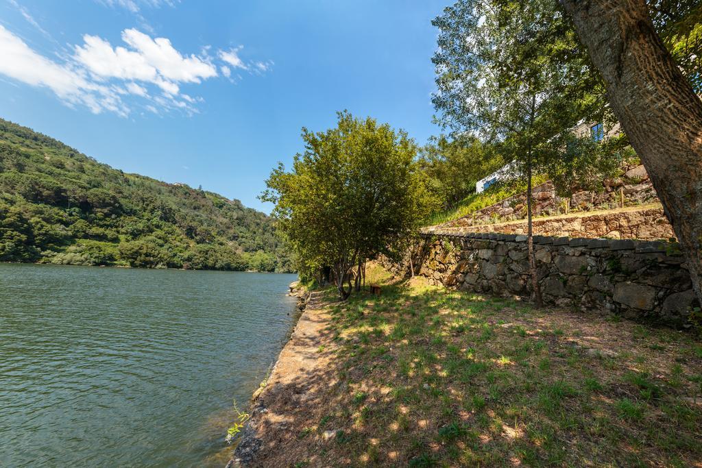 Douro Green Castelo de Paiva Exteriér fotografie